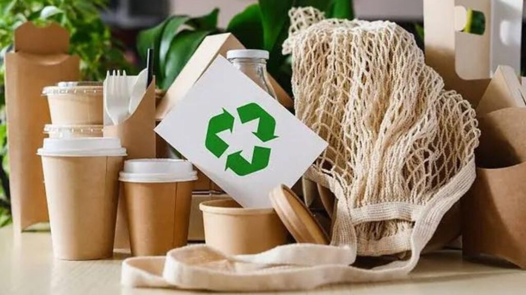 Sustainable and Eco-Friendly Products: Building a Greener Future